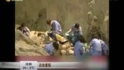 兵马俑二号坑启动二次发掘 “精锐之师”出土资讯完整版视频在线观看爱奇艺