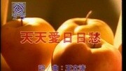 李翊君  天天爱日日愁音乐背景音乐视频音乐爱奇艺