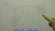 Mark Crilley漫画教程大全 漫画教程 猫的画法知识名师课堂爱奇艺