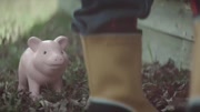 正太与小猪存钱罐的故事 加拿大公益广告