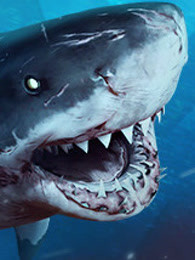 深海狂鲨高清
