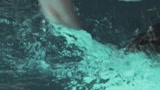 爱上超模20161118预告 水下拍摄超模险遭溺水！