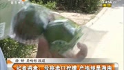 记者调查:号称进口柠檬 产地却是海南资讯高清正版视频在线观看–爱奇艺