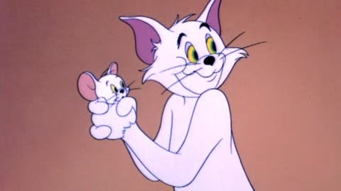 猫和老鼠全集 4集
