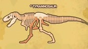 恐龙化石和恐龙照片差距好大啊一个好肥一个好长游戏游戏高清正版视频在线观看–爱奇艺
