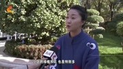 石家庄:城市更宜居百姓更幸福资讯高清正版视频在线观看–爱奇艺