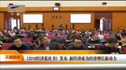 《2018经济蓝皮书》发布资讯搜索最新资讯爱奇艺