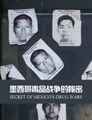 墨西哥毒品战争的秘密
