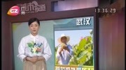 荷花深处采莲人资讯高清正版视频在线观看–爱奇艺