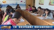 甘肃:探索多种组建模式增强社会组织党建活力资讯高清正版视频在线观看–爱奇艺