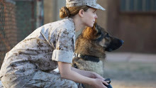 女主角与军犬瑞克斯相遇，相识并共赴战场产生了深厚战友情