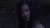 四大名捕2（片段）守护刘亦菲的人，就是杀害她全家的凶手！
