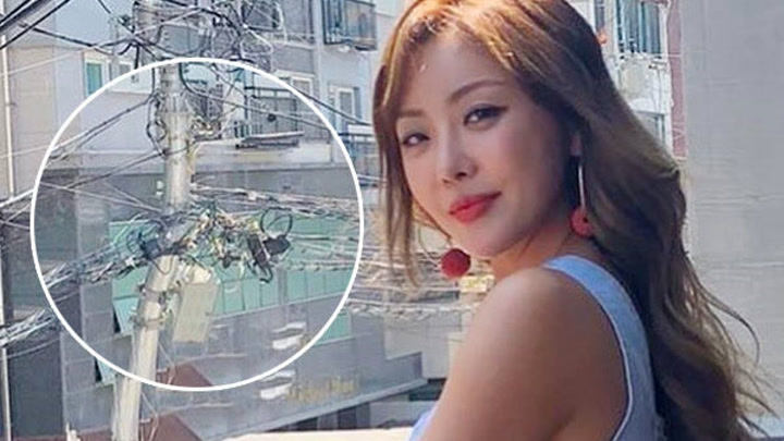 narsha