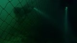 住在海边的猫头鹰：天豪梦晨潜水解救海龟 郭天豪真的不是胆小鬼