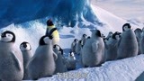 这是什么小企鹅合唱团吗？  这歌声简直就是天籁之音啊