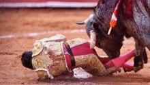 西班牙斗牛士优雅背后有多么残忍看看西班牙斗牛比赛的惨烈一幕