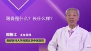 跟骨是什么?长什么样?健康完整版视频在线观看爱奇艺