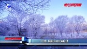 今日大雪:落尽琼花天不惜 封它梅蕊玉无香资讯高清正版视频在线观看–爱奇艺