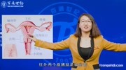 临床执业(助理)医师资格考试  女性内生殖器解剖 第一讲健康高清正版视频在线观看–爱奇艺