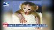 2000年1月14日人类成功克隆猴资讯高清正版视频在线观看–爱奇艺