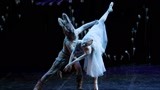 澳大利亚昆士兰芭蕾舞团《仲夏夜之梦》奇幻上演