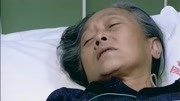 金婚第31集精彩片段片花高清完整版视频在线观看–爱奇艺