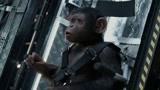 生命体实验正式开始 猴子被人类送上了风口浪尖？