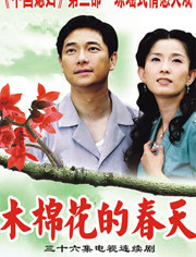 第27集 木棉花的春天第27集