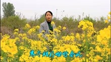 歌曲映山红原唱