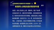 陈某某等人涉黑走私团伙背后保护伞案资讯完整版视频在线观看爱奇艺