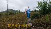 云南山歌《不让妈妈你伤心》音乐背景音乐视频音乐爱奇艺