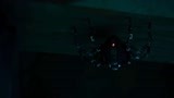 侠盗联盟：顶级“大盗”操作高科技蜘蛛，不料被狗给咬走