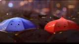 暖心动画《蓝雨伞之恋》，连雨伞都一见钟情了，你还没恋爱吗？