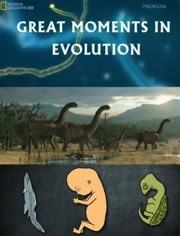 进化的伟大时刻