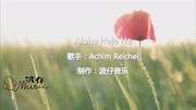 波仔音乐:抖音快手DJ《Aloha Heja He》歌声动听,余味无穷音乐背景音乐视频音乐爱奇艺