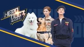 Watch the latest Hero Dog (Season 3) Episode 8 online with English subtitle for free English Subtitle