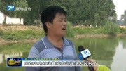 清丰县夏村:生态宜居托起美丽乡村梦资讯完整版视频在线观看爱奇艺