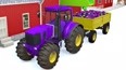 拖拉机运输紫色茄子