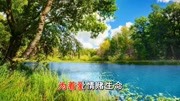 陈小云 演唱的《流转》MV 超清 超美 超好听!音乐背景音乐视频音乐爱奇艺