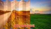 李玲玉 演唱的甜歌《爱有多深》超美超好听!音乐背景音乐视频音乐爱奇艺