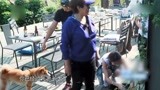 青春旅社：大虫成为过气团宠，现在大家又有了新欢，大虫被冷落