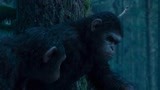 猩球崛起2：猩猩凯撒打猎遇棕熊，幸好被猩猩科巴救下