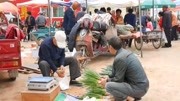 山东人有多爱吃葱?“菜菜不离葱”,被人戏称为“葱省”生活完整版视频在线观看爱奇艺