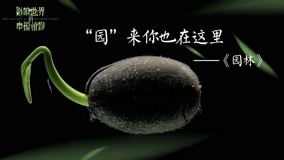 Watch the latest The Journey of Chinese Plants Episode 9 (2019) online with English subtitle for free English Subtitle