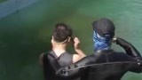 小伙第一关便被淘汰 少年入水姿势超搞笑 