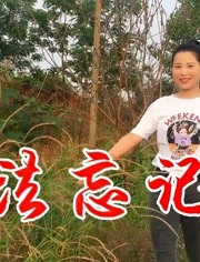 一首无法忘记你女歌手唱得催泪感人听哭多少痴情男女