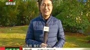 安徽“迎鼠年,赛春联”:春联征集结束,12月8日前后公布结果时尚完整版视频在线观看爱奇艺