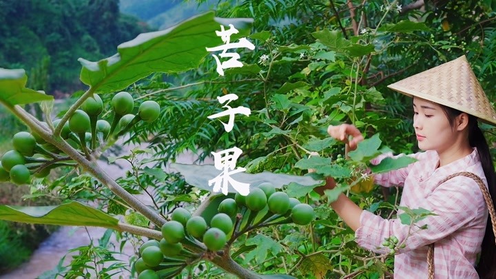 苦子果:它是一种山野小果,用来炖牛蹄烩番茄,都是独特的风味