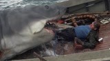 巨型鲨鱼袭击人类！海洋生物要暴走了！