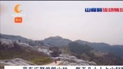 豪车汇聚偏僻山林,仁寿警方打掉特大流动赌博集团,105人受审资讯搜索最新资讯爱奇艺